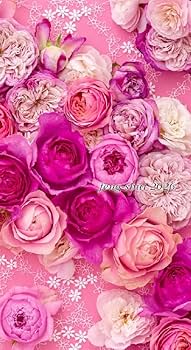 Amazon.co.jp: ラッキーを持ち歩こう 李家幽竹の風水手帳2026